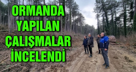 ORMANDA YAPILAN GENÇLEŞTİRME ÇALIŞMALARI İNCELENDİ