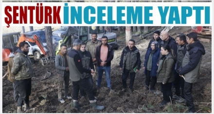 ŞENTÜRK YERİNDE İNCELEDİ