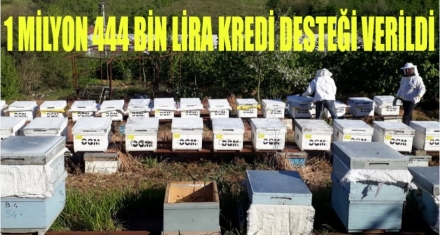 1 MİLYON 444 BİN LİRA DESTEK KREDİSİ VERİLDİ  