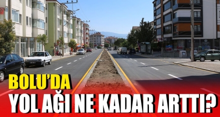 BOLU'DA YOL AĞI NE KADAR ARTTI?