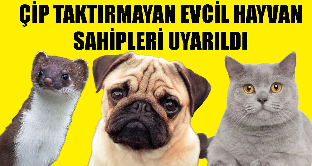 ÇİP TAKTIRMAYAN EVCİL HAYVAN SAHİPLERİ UYARILDI