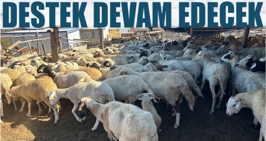 ORMAN KÖYLÜLERİNE DESTEK SÜRECEK