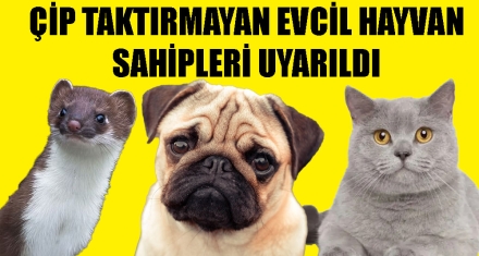 ÇİP TAKTIRMAYAN EVCİL HAYVAN SAHİPLERİ UYARILDI 