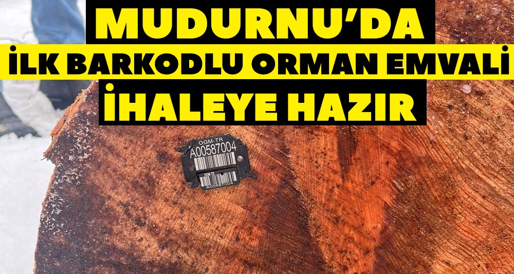 MUDURNU'DA İLK BARKODLU ORMAN EMVALİ İHALEYE HAZIR