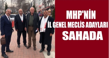 MHP'NİN İL GENEL MECLİS ADAYLARI SAHADA