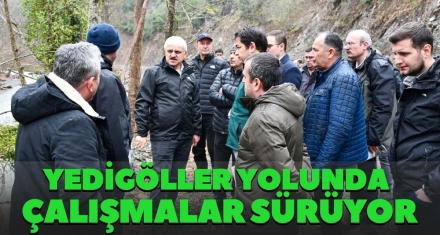 YEDİGÖLLER YOLUNDA ÇALIŞMALAR SÜRÜYOR