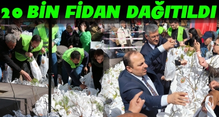 20 BİN FİDAN DAĞITILDI
