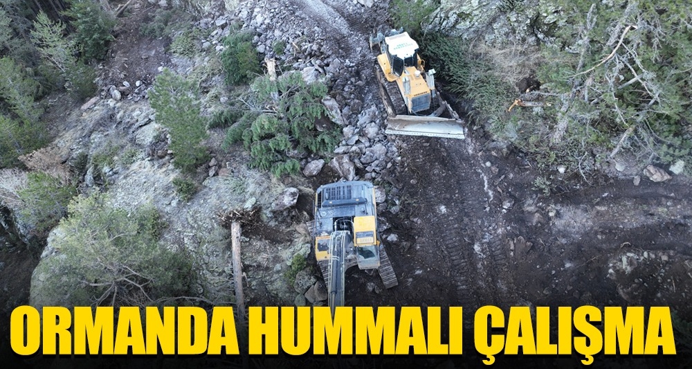 ORMANDA HUMMALI ÇALIŞMA