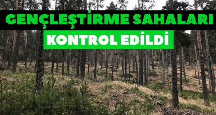 KIBRISCIK'TA GENÇLEŞTİRME SAHALARI KONTROL EDİLDİ