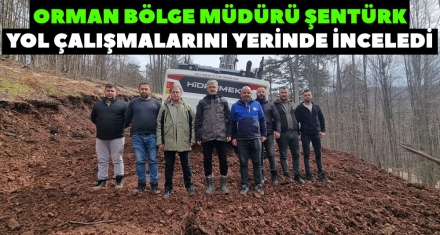 ORMAN BÖLGE MÜDÜRÜ ŞENTÜRK YOL ÇALIŞMALARINI YERİNDE İNCELEDİ