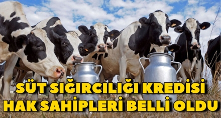 SÜT SIĞIRCILIĞI KREDİSİ HAK SAHİPLERİ BELLİ OLDU