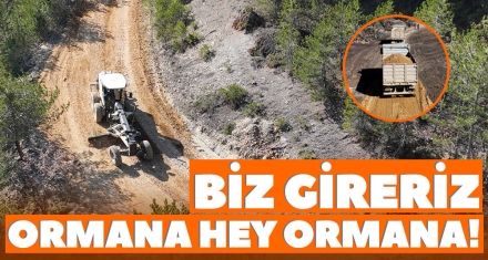 BİZ GİRERİZ ORMANA HEY ORMANA!
