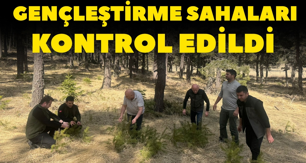 DÖRTDİVAN'DA GENÇLEŞTİRME SAHALARI KONTROL EDİLDİ