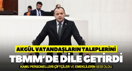 AKGÜL VATANDAŞLARIN TALEPLERİNİ TBMM'DE DİLE GETİRDİ
