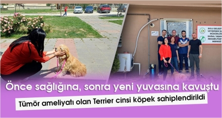 SAĞLIĞINA KAVUŞTU SAHİPLENDİRİLDİ 