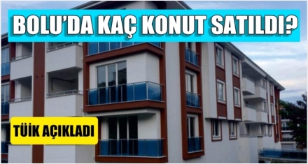 Bolu'da kaç konut satıldı