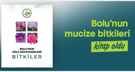 Bolu'nun mucize bitkileri kitap oldu