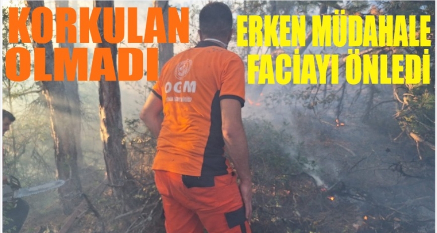 Yangın büyümeden söndürüldü.