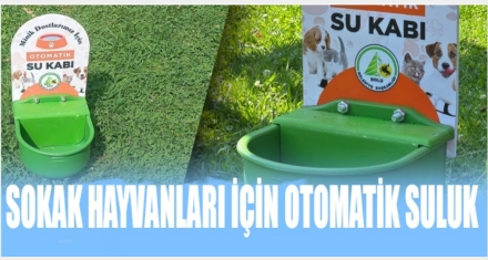 SOKAK HAYVANLARI İÇİN 