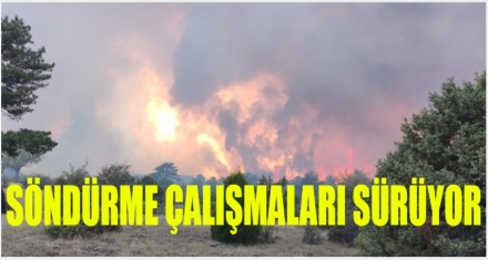 CİĞERLERİMİZ YANDI