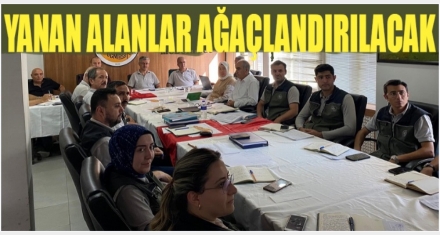YANAN ALANLAR AĞAÇLANDIRILACAK