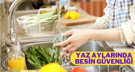 YAZ AYLARINDA BESİN GÜVENLİĞİ