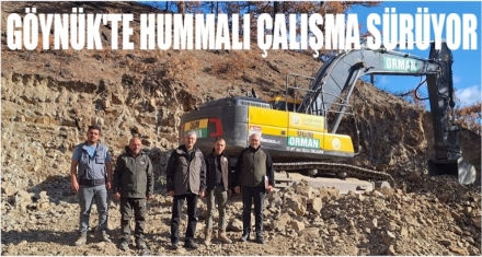GÖYNÜK'TE HUMMALI ÇALIŞMA DEVAM EDİYOR 