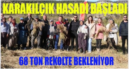 KARAKILÇIK HASADI BAŞLADI