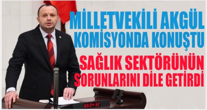 AKGÜL BÜTÇE KOMİSYONUNDA KONUŞTU
