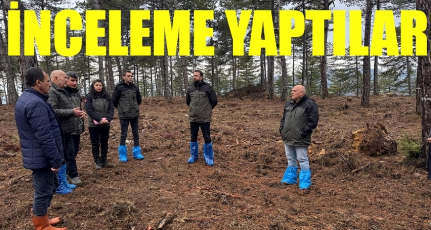 SİLVİKÜLTÜR FAALİYETLERİ İNCELENDİ