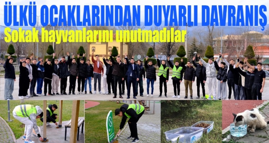 ÜLKÜ OCAKLARINDA DUYARLI DAVRANIŞ