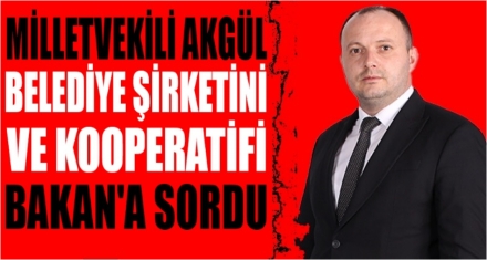 AKGÜL BELEDİYE ŞİRKETLERİNİ SORDU