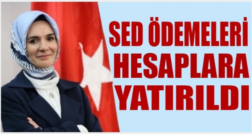 Bakan Göktaş: “SED ödemesini hesaplara yatırdık”