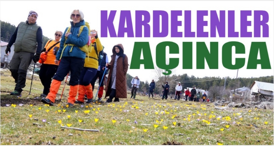 KARDELENLER AÇINCA