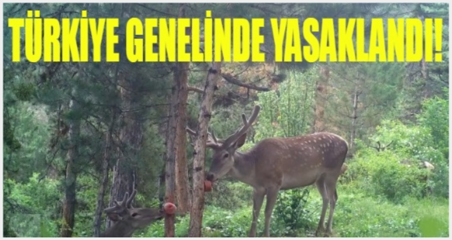SEZON SONA ERDİ