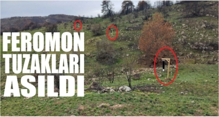 FEROMON TUZAKLARI ASILDI