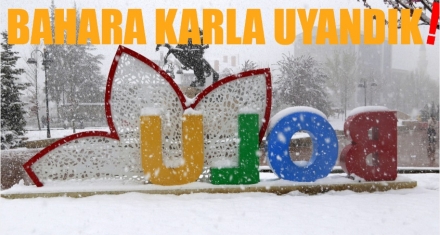 BAHARA KARLA UYANDIK