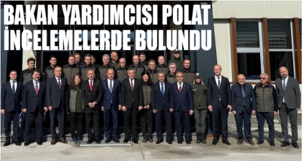 Bakan Yardımcısı Polat İncelemelerde bulundu