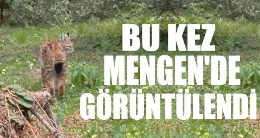 BU KEZ MENGEN'DE GÖRÜNTÜLENDİ