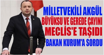 AKGÜL; BÜYÜKSU VE GEREDE ÇAYINI MECLİS'E TAŞIDI