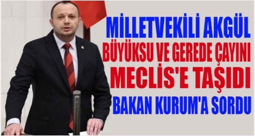 AKGÜL; BÜYÜKSU VE GEREDE ÇAYINI MECLİS'E TAŞIDI
