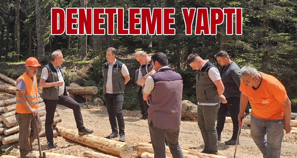 DENETLEME YAPTI