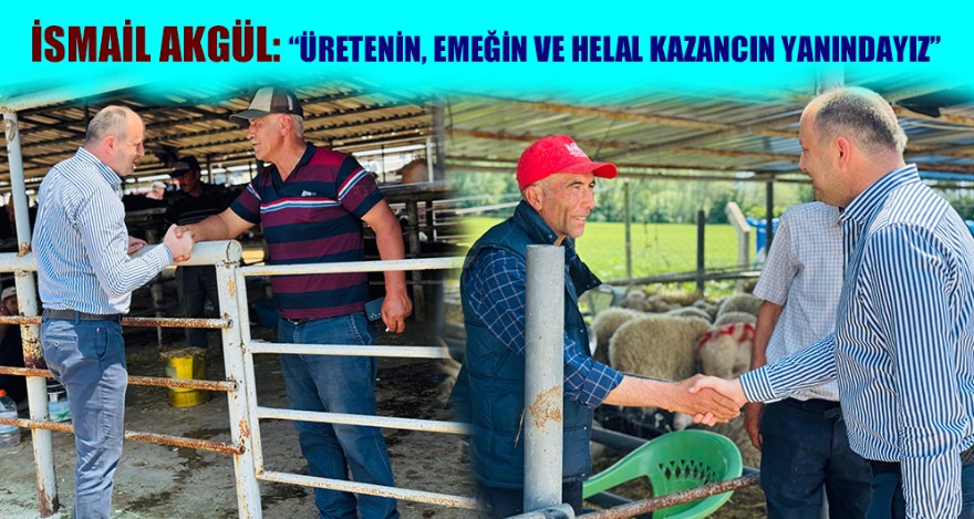 İSMAİL AKGÜL BOLU KURBAN PAZARI'NI ZİYARET ETTİ