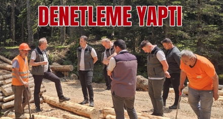 DENETLEME YAPTI