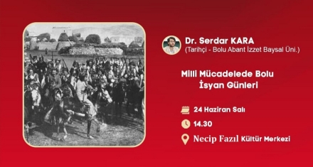 MİLLİ MÜCADELEDE BOLU