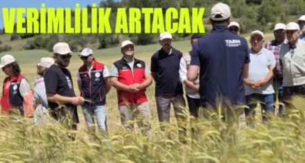 VERİMLİLİK ARTACAK