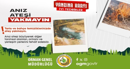 ANIZ YAKMA!
