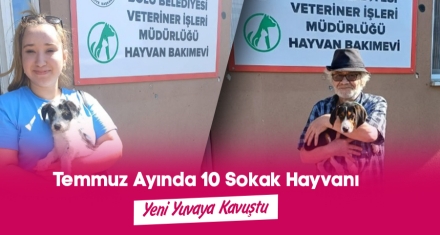 10 SOKAK HAYVANI YENİ YUVAYA KAVUŞTU