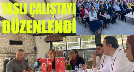 Bolu Yaşlı Çalıştayı Düzenlendi