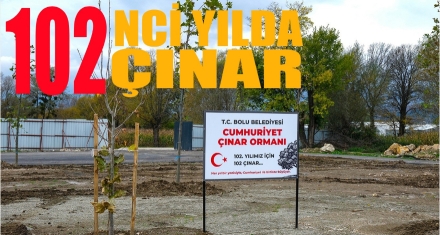 102'nci yılda 102 çınar